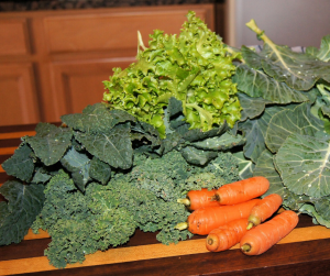 Sources of Vitamin K