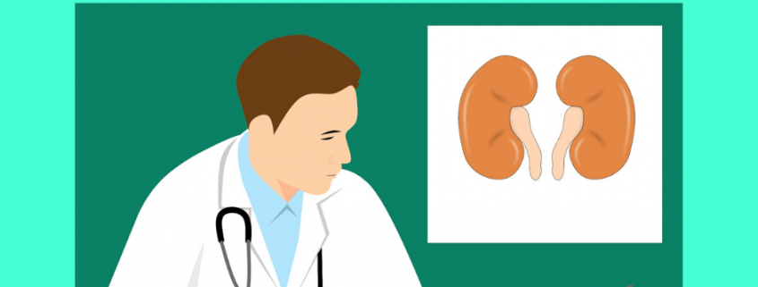 kidney stone treatment in homeoapthy