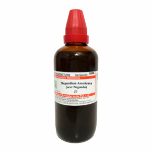Negundium Americana Q