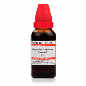 Negundium Americana Q
